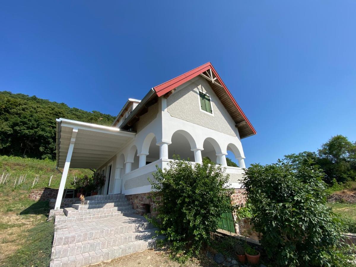 Chateau Segesdi Borapartman Gyulakeszi Dış mekan fotoğraf