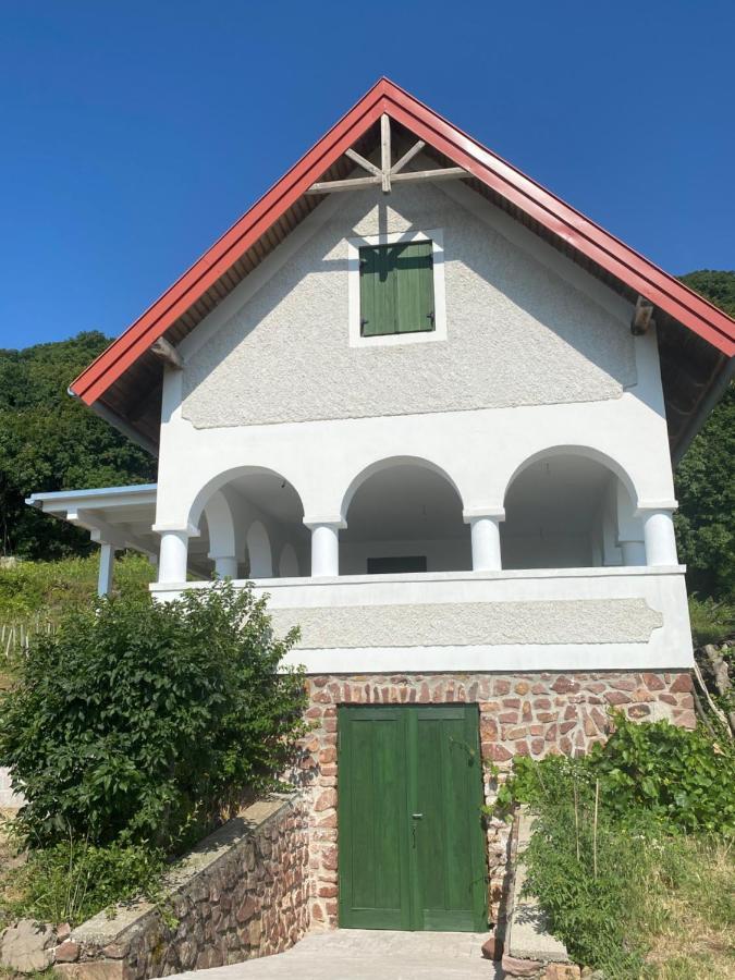 Chateau Segesdi Borapartman Gyulakeszi Dış mekan fotoğraf