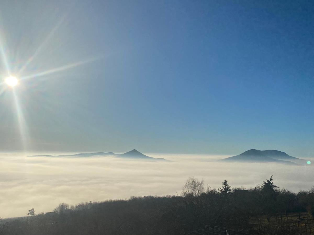 Chateau Segesdi Borapartman Gyulakeszi Dış mekan fotoğraf